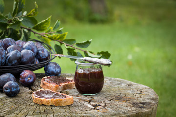 Sandwich with fresh plum jam lying on old wooden stump in garden.