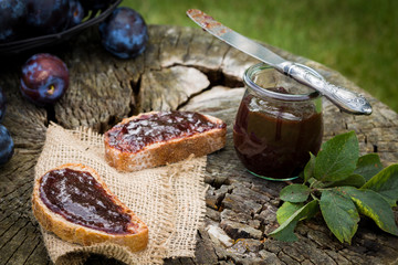 Sandwich with fresh plum jam lying on old wooden stump in garden.
