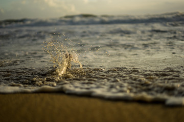 Sonnenaufgang in Costa Rica am Strand bei leichtem Wellengang.