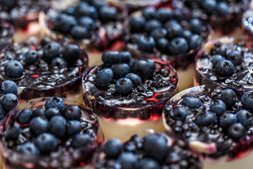 Mini-cheesecakes decorated with blueberries