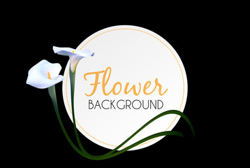 Abstract Floral Background with Calla Flower. Vector Illustratio
