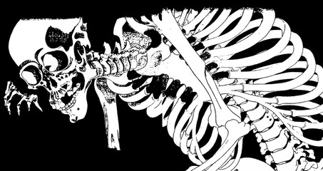 Fototapeta premium Japanese Ukiyoe illustration [vector]