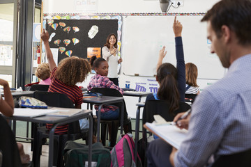 Trainee teacher learning how teach elementary students