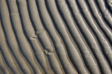 Sand texture. Background with beige fine sand. Sharp lines of waves on sand. Sand surface on the beach, view from above.
