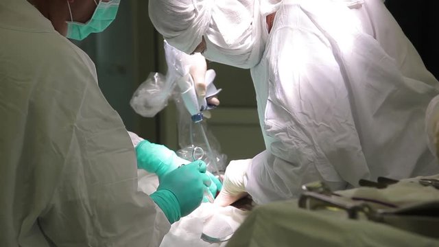A team of two surgeons conduct an oncological operation