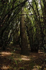 Fundo la cosecha del futuro