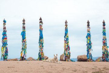 Buryat sacred poles in the Olkhon Island Baikal