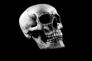 Human skull isolated on black