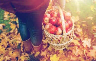 woman with basket of apples at autumn garden