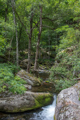 Obraz premium pyrénées