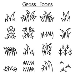 Grass icon set in thin line style