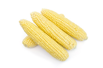 Corn isolated on white background
