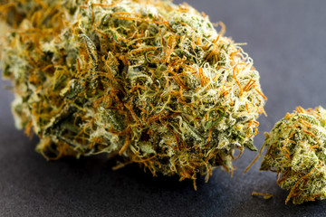 Medical Marijuana Buds on Black Background