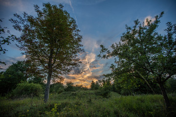 Sonnenuntergang im Wald