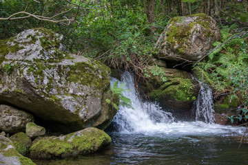 Fototapeta premium pyrénées