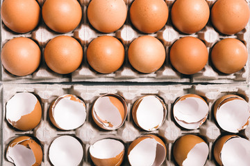 Egg shells in egg box.Close-up view of raw chicken eggs isolated on white background