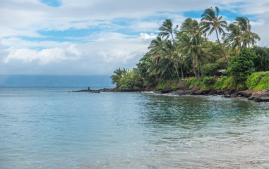 Maui Fisherman 2