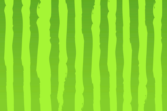 watermelon green texture background  vector illustration