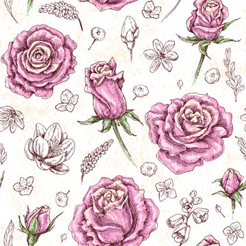 Roses  Sketch Pattern