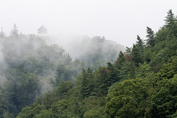 Karlovy Vary, Czech Republic - August 16, 2017:Forest with mist with the Diana Tower overhanging...