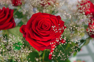 Fresh beautiful red roses in a bouquet.