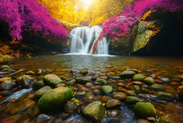 Phu Soi Dao Waterfall with yellow and pink leaves trees autumn, beautiful waterfall in rainforest at Uttaradit province, Thailand