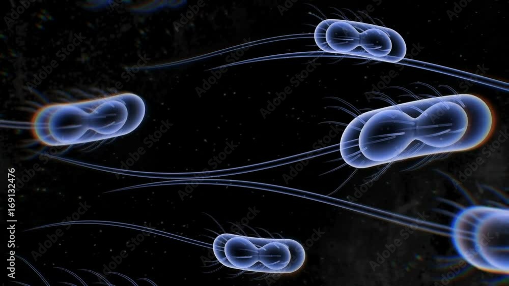 Aufkleber abstract animation of bacteria cells with multiple flagella. seamless loop.