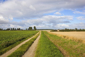 agricultural farm track