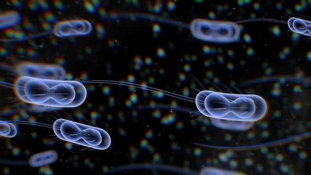 Abstract 3d rendering of Bacteria under a microscope. Concept of Medical Science.