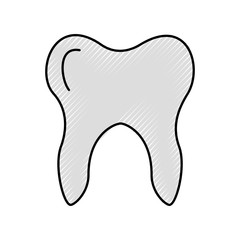 Human tooth isolated icon vector illustration design