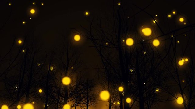 Magic Yellow lights fly up to the sky among dark forest trees