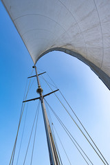 Obraz premium The white sail and mast of yacht