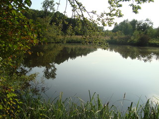 Weiher in der Nähe von 86653 Ried