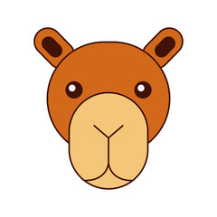 african camel isolated icon vector illustration design