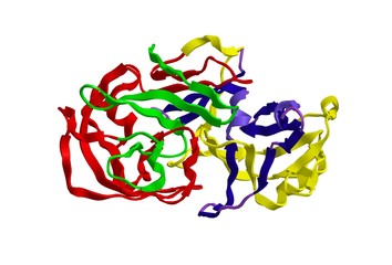 Molecular structure of pepsin, 3D rendering