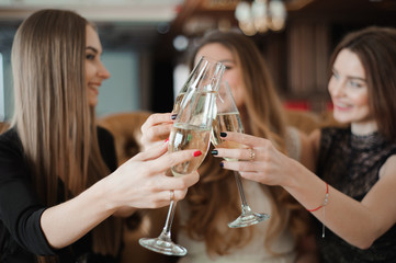 Portrait of happy young friends touching the glasses with each other
