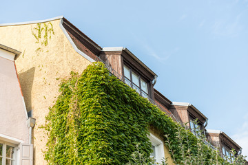 Altes Dach mit Schindeln, zwei Kaminen und Dachfenster