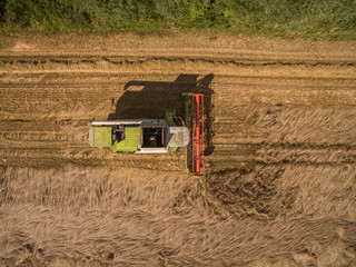 combine harvester - Aerial view of modern combine harvester at the harvesting the wheat on the...