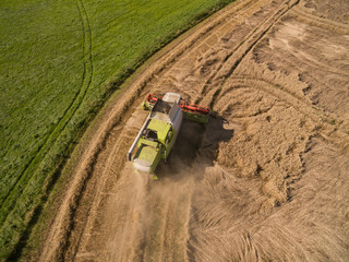 Aerial view of modern combine harvester at the harvesting the wheat on the golden wheat field in the summer - Cereal harvest
