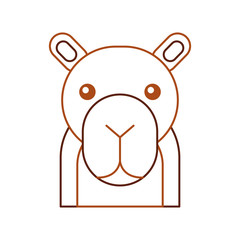 african camel isolated icon vector illustration design