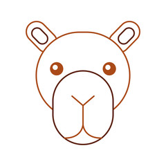 african camel isolated icon vector illustration design