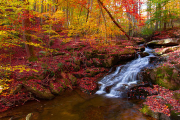 beautiful little waterfall in Autumn with vibrate colors on the Gunpowder river maryland - obrazy, fototapety, plakaty