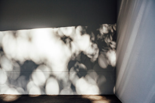 Shadows on White Wall