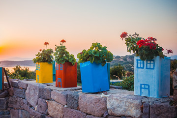 Geranium in multicolored pots stands on a stone wall in the street, view at sunset