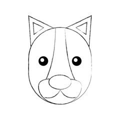 Wild lioness isolated icon vector illustration design