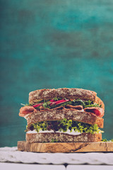 Sandwich with salami cress and cucumber