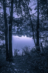 Obraz premium Freude