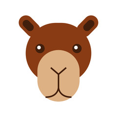 african camel isolated icon vector illustration design
