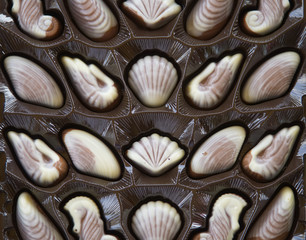 A square box of shell-shaped chocolate sweets of white and milk chocolat                                              e 