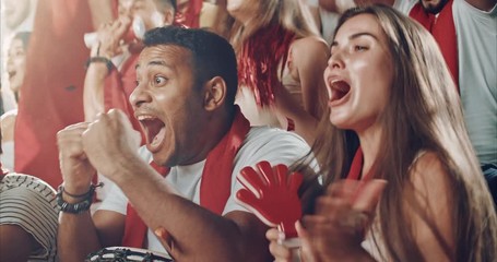 Fans cheer at the stadium